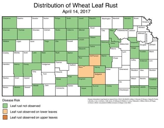 Wheat Leaf Rust And Tan Spot Getting A Foothold In Kansas